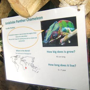 Williamson Park Butterfly House