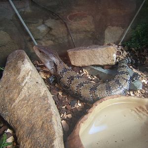 Williamson Park Butterfly House