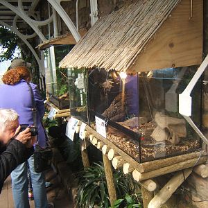 Williamson Park Butterfly House