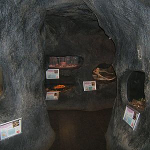 Williamson Park Butterfly House