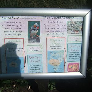 Williamson Park Butterfly House