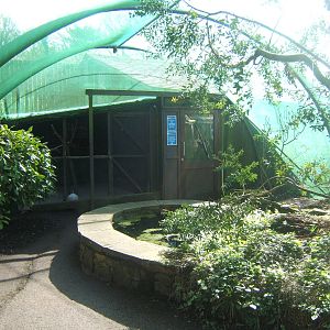 Williamson Park Butterfly House