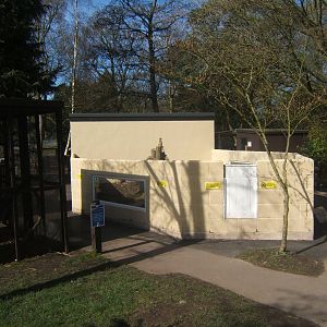 Williamson Park Butterfly House