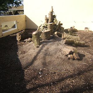 Williamson Park Butterfly House