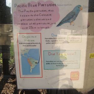 Williamson Park Butterfly House