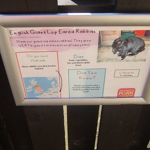 Williamson Park Butterfly House