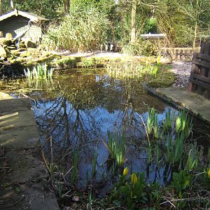Williamson Park Butterfly House