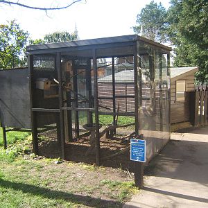 Williamson Park Butterfly House