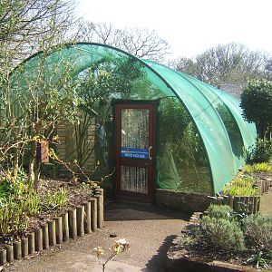 Williamson Park Butterfly House