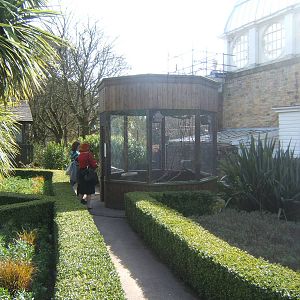 Williamson Park Butterfly House
