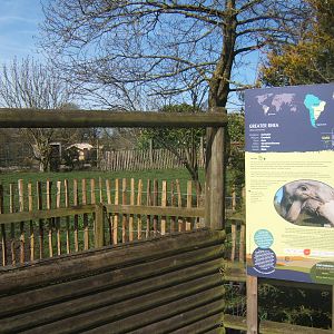 New Greater Rhea enclosure