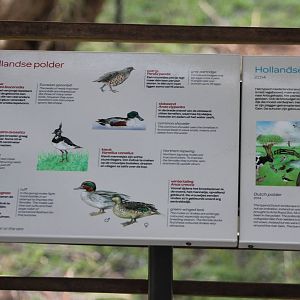 Dutch polder bird-sign