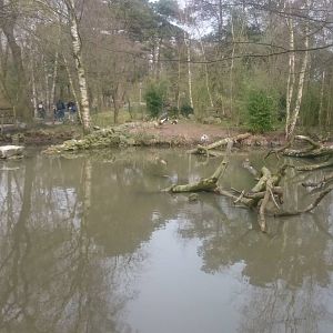 Crowned crane enclosure