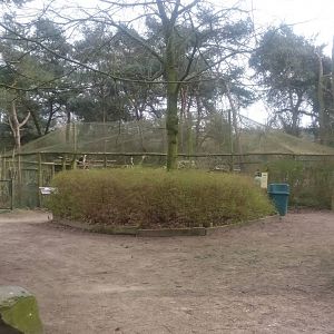 New World vulture aviary