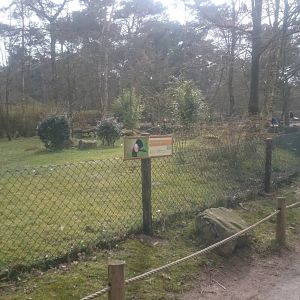 Crowned crane aviary