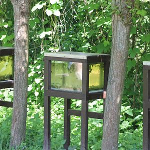 Tadpole enclosures