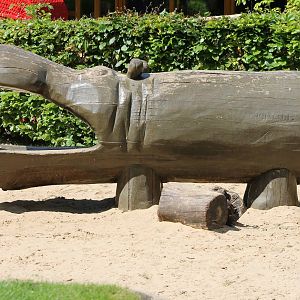 Hippo at the Playing-ground