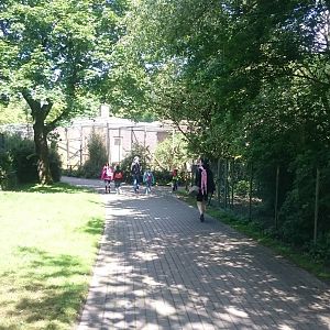 Path to the Monkey-house