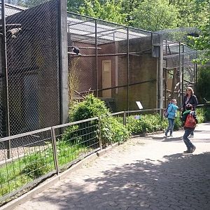 Row of Lion-tailed macaques enclosures