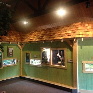 New Herp Exhibits
