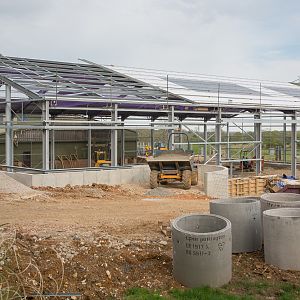 Asian elephant (exhibit) : Whipsnade : 07 May 2016