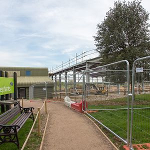 Asian elephant (exhibit) : Whipsnade : 07 May 2016