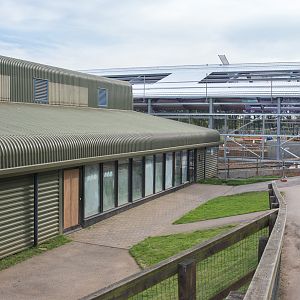 Asian elephant (exhibit) : Whipsnade : 07 May 2016