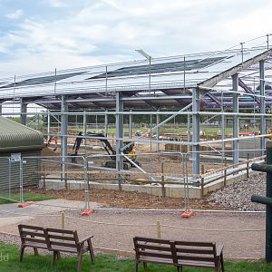 Asian elephant (exhibit) : Whipsnade : 07 May 2016