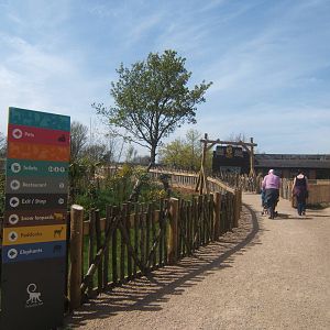 Path towards Gibbon Forest