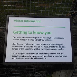 Okapi sign - 8th May 2016