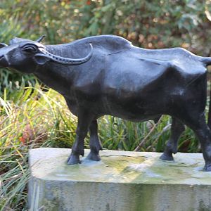 Water buffalo statue