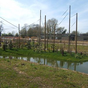 View of Gibbon Forest Islands