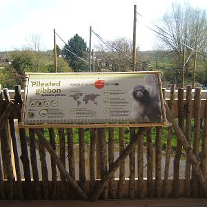 View of Gibbon Forest Islands