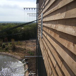 View of Electric fencing round Gibbon Forest