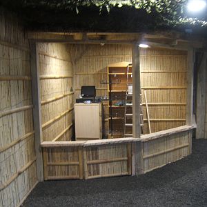 View inside Gibbon Forest