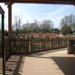 View of exit path from Gibbon Forest