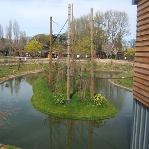 View of Gibbon Forest Island