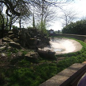 Work on the Otter enclosure????