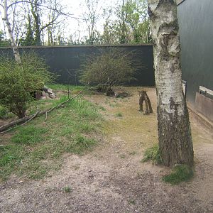 Temporary ASCO enclosure