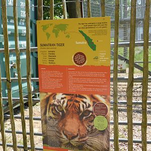 Sumatran Tiger enclosure