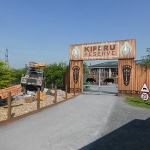 Kifaru Rhino Reserve exhibit