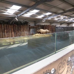 Kifaru Rhino Reserve exhibit