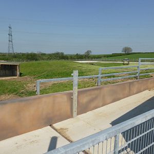 Kifaru Rhino Reserve exhibit