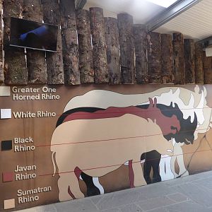 Kifaru Rhino Reserve exhibit