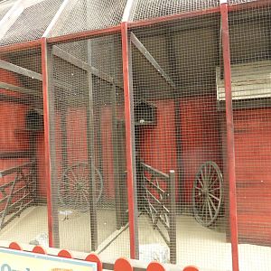 New Barnn Owl aviaries