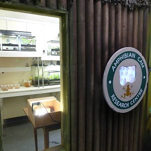 Extension to Interactive Zone