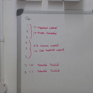 Extension to Interactive Zone