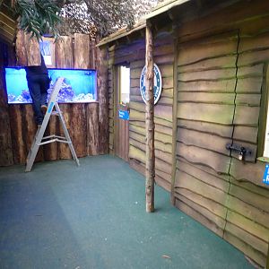 Extension to Interactive Zone