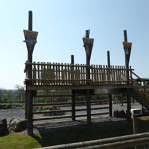 New platform adjoining Giraffe hardstanding