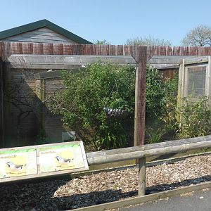 Aviary in South American Primates area